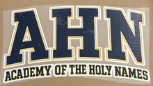 Load image into Gallery viewer, SPIRIT WEAR DRI-FIT HOODED SWEATSHIRT w/ LOGO