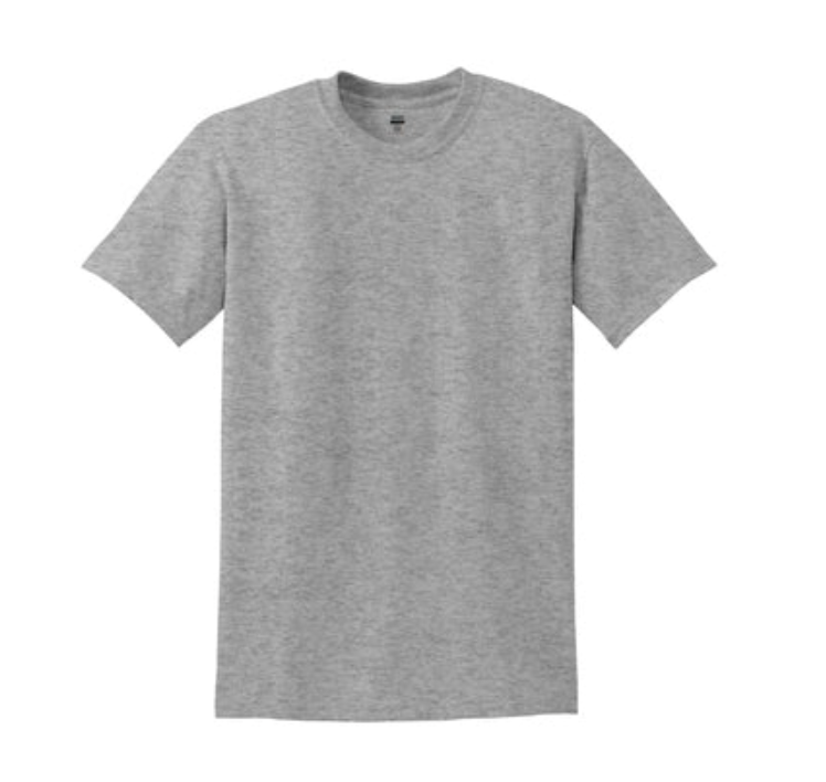 HOLLISTER GREY S/S T-SHIRT MIDDLE SCHOOL ONLY- PC54
